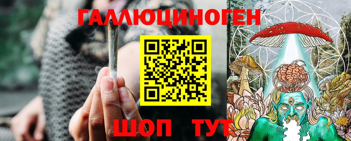 Галлюциногенные грибы Psilocybe  Вход с VPN  Ачхой-Мартан 