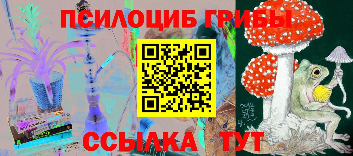 Галлюциногенные грибы GOLDEN TEACHER Ачхой-Мартан